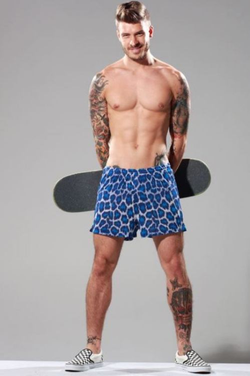 Mateus Verdelho - MaxeGatos - Foto 9