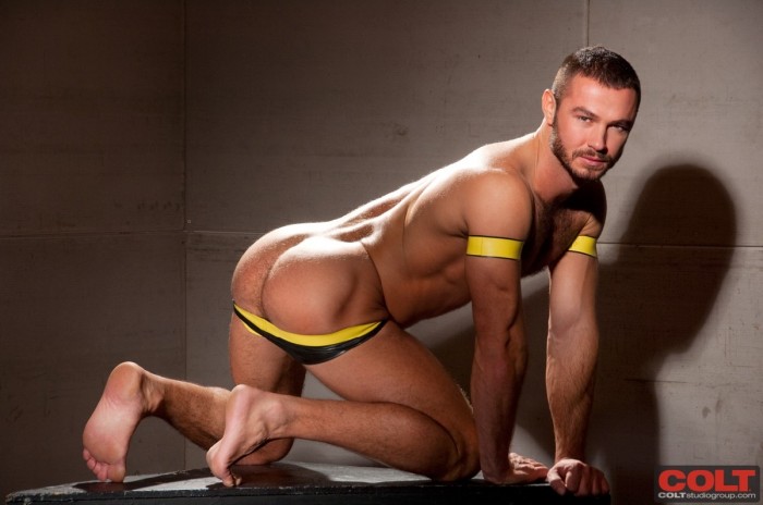 Jessy Ares - MaxeGatos - Foto 24