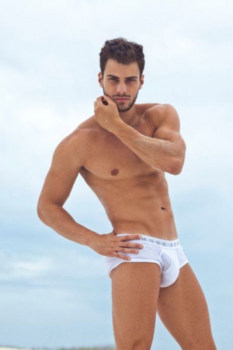 Lucas Malvacini - MaxeGatos - Foto 17