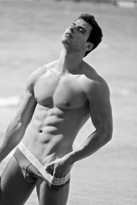 Lucas Malvacini - MaxeGatos - Foto 9