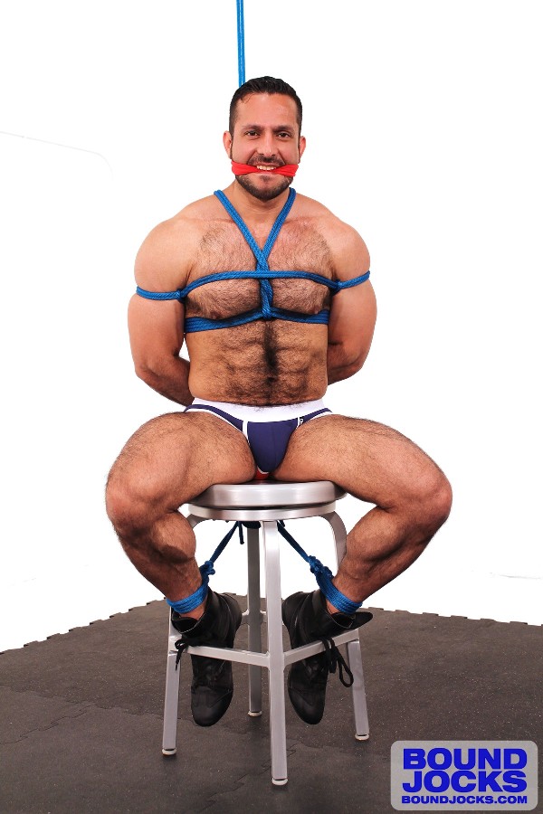 Adam Champ, James Jameson - MaxeGatos  - Foto 5