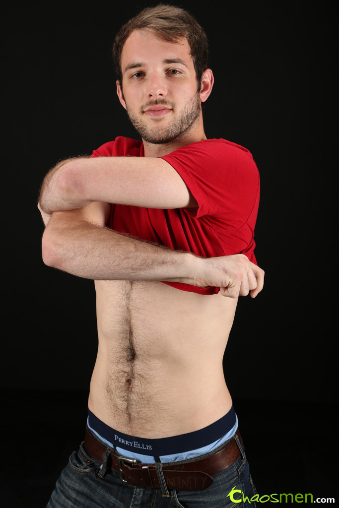 Toby - MaxeGatos - Foto 8