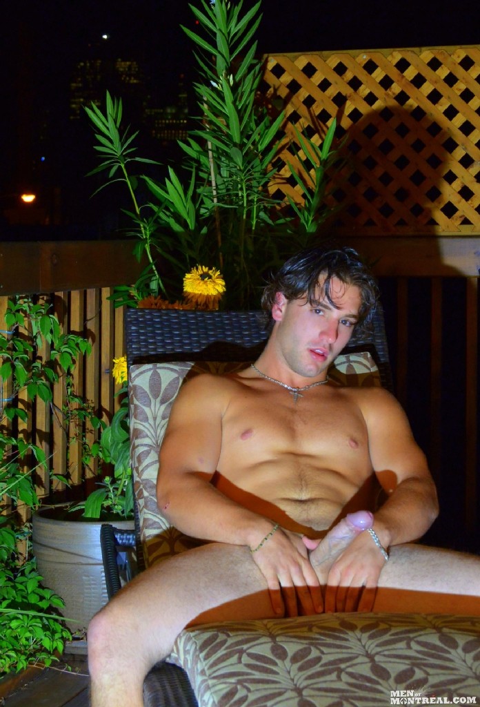 Kalvin Gold - MaxeGatos - Foto 21