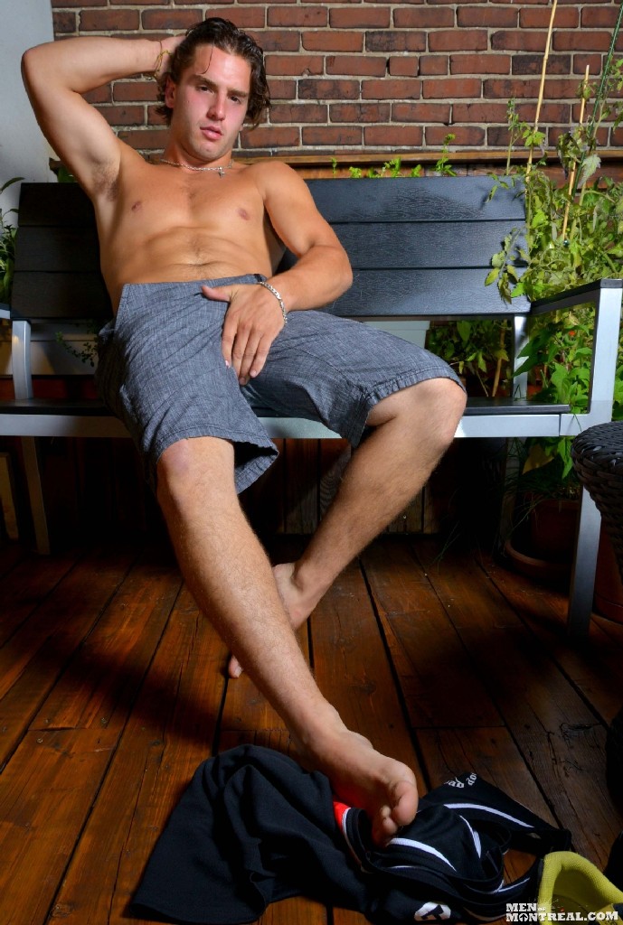 Kalvin Gold - MaxeGatos - Foto 5