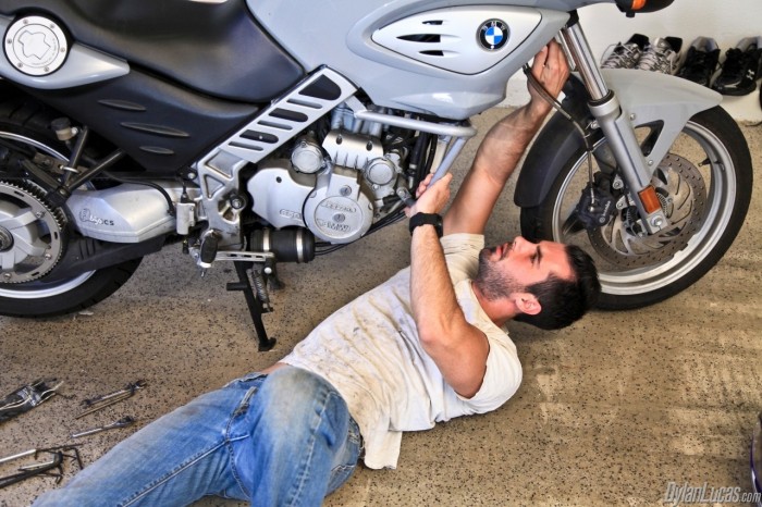 Brock Cooper - MaxeGatos - Foto 12