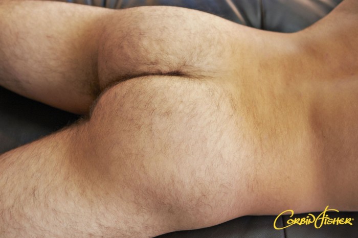 Drake, Hudson, Lewis - MaxeGatos - Foto 23