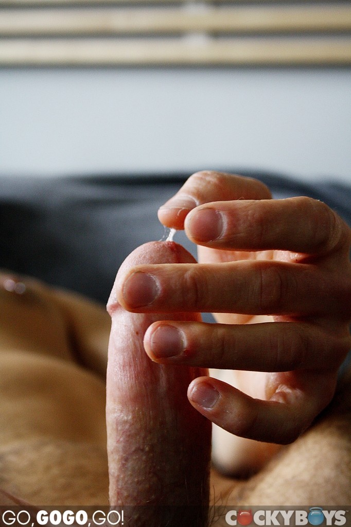 JP Dubois, Tony Milan - MaxeGatos - Foto 10