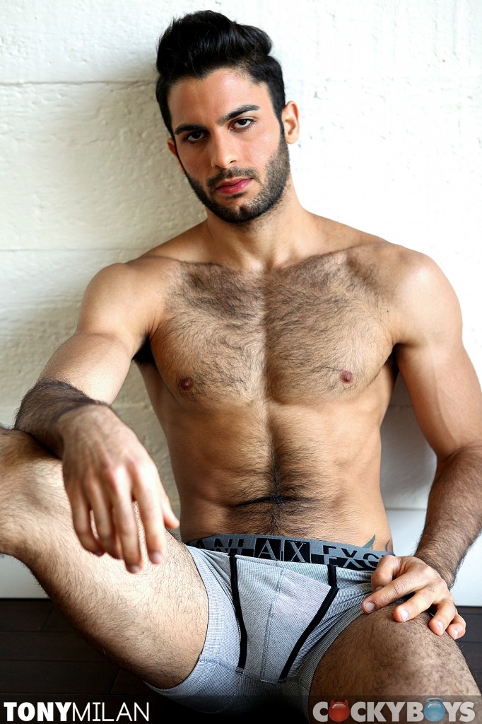 JP Dubois, Tony Milan - MaxeGatos - Foto 18