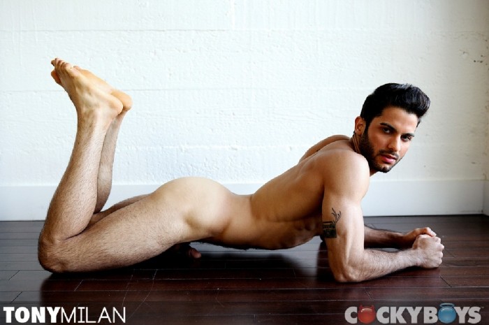 JP Dubois, Tony Milan - MaxeGatos - Foto 29