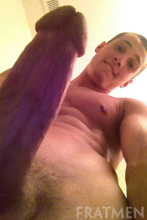 Porter Handheld, Mario - MaxeGatos - Foto 9