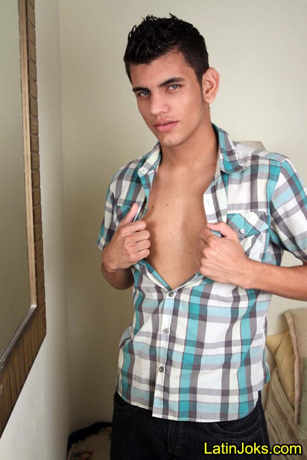 Douglas - MaxeGatos - Foto 5