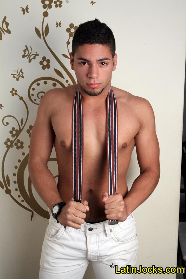 Bruno - MaxeGatos - Foto 12