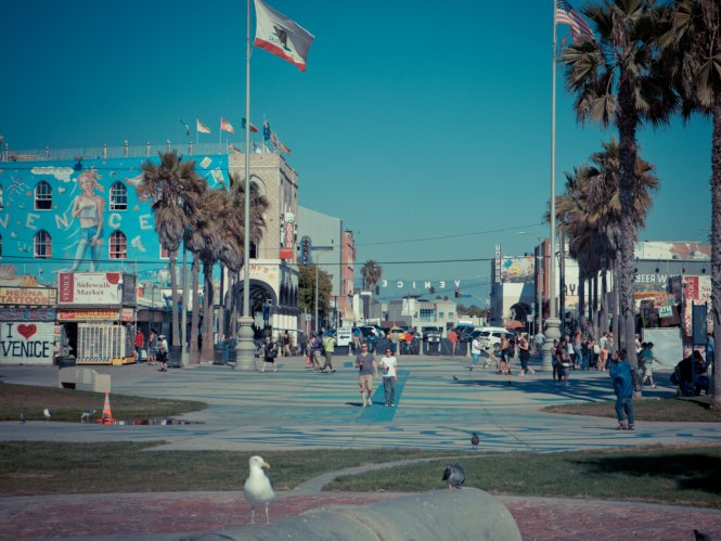 Lance Alexander & Diego Sans - MaxeGatos - Foto 60