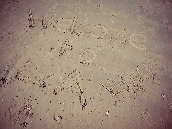 Lance Alexander & Diego Sans - MaxeGatos - Foto 76