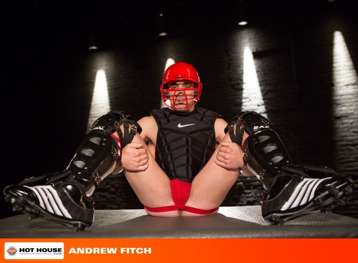 Mix de Gatos - MaxeGatos - Foto 1