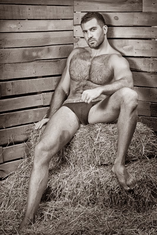 Moreno sarado - Niko Antonyan - Foto 11