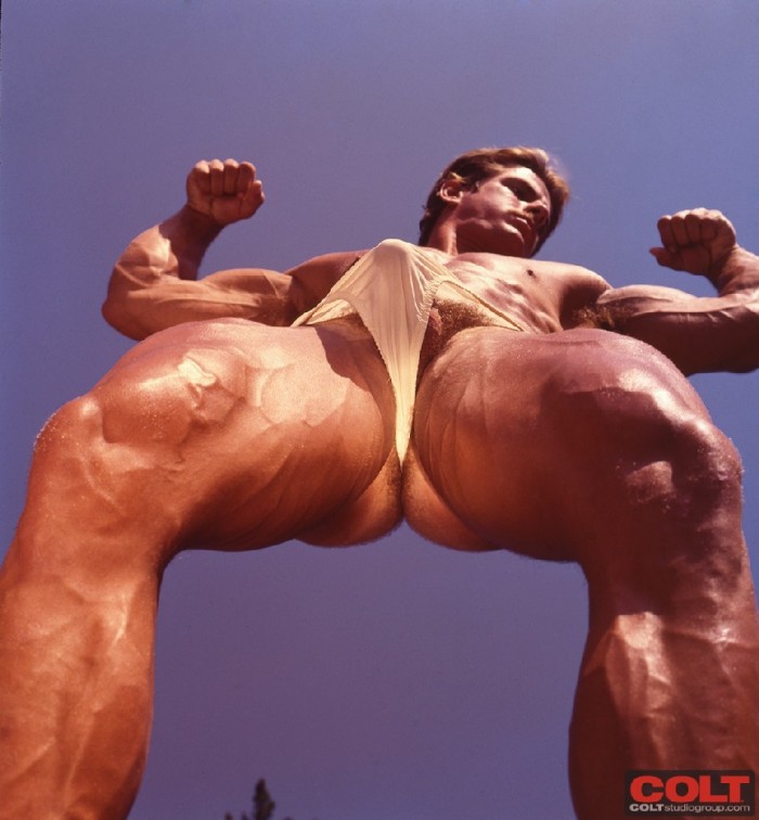 Rex Morgan - COLT Buck Hayes - Foto 24