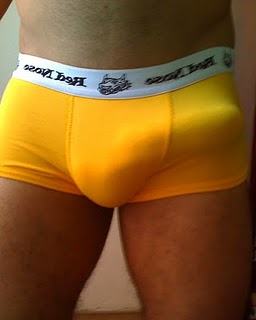 Homens parrudos e bem dotados - Foto 12